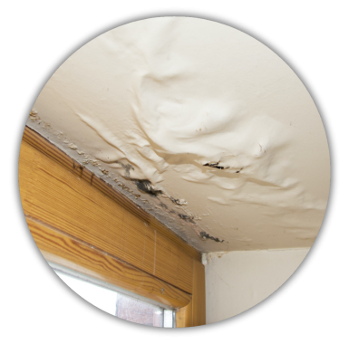 Roof Leak